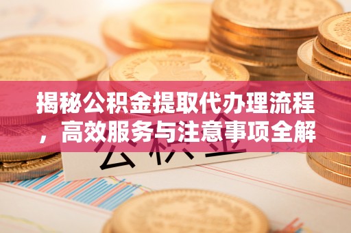云溪揭秘公积金提取代办理流程，高效服务与注意事项全解析