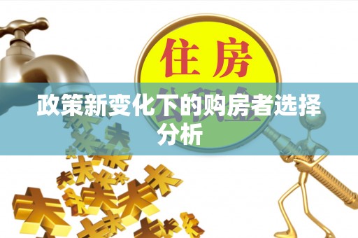 云溪政策新变化下的购房者选择分析