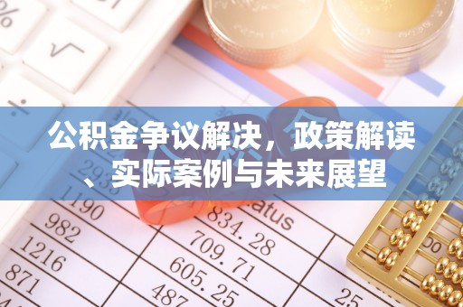 云溪公积金争议解决，政策解读、实际案例与未来展望