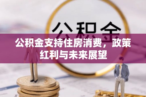 云溪公积金支持住房消费，政策红利与未来展望