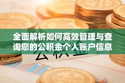 云溪全面解析如何高效管理与查询您的公积金个人账户信息