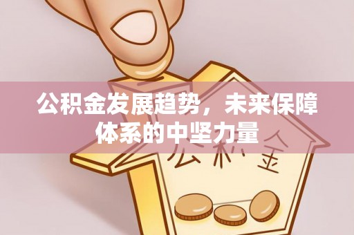 云溪公积金发展趋势，未来保障体系的中坚力量