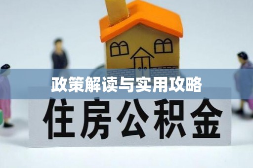 云溪政策解读与实用攻略